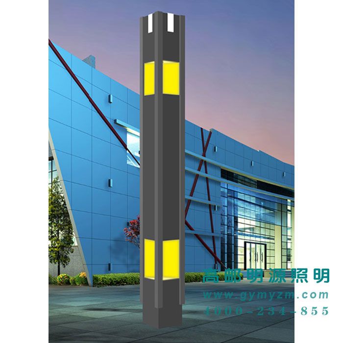 LED景观灯 H:4-6m