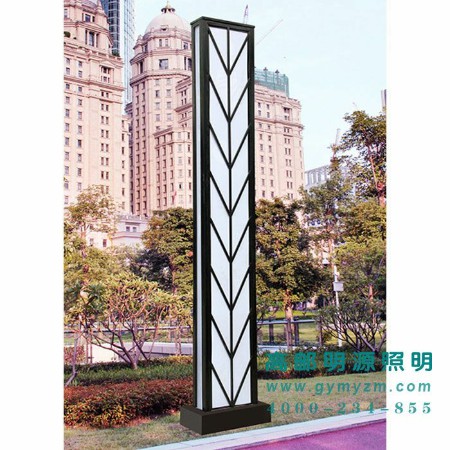 LED景观灯 H：4-6m