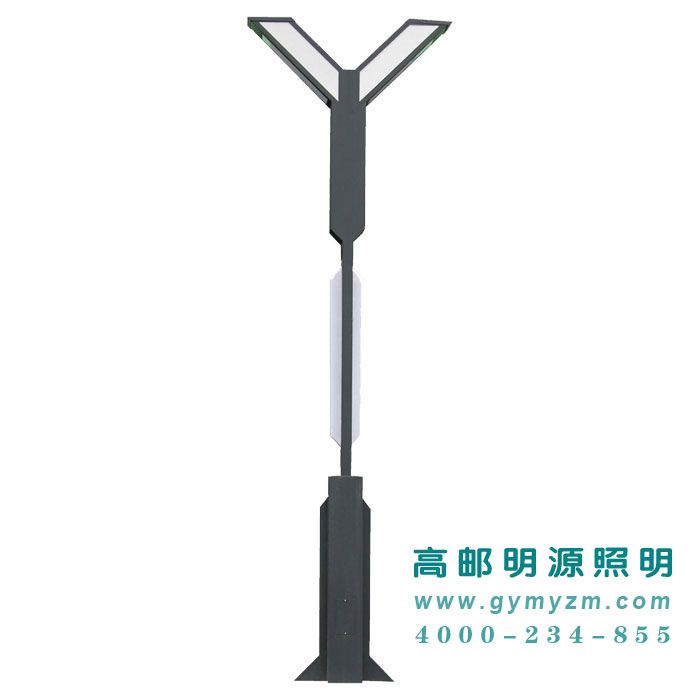 Y型景观灯 H：4-6m