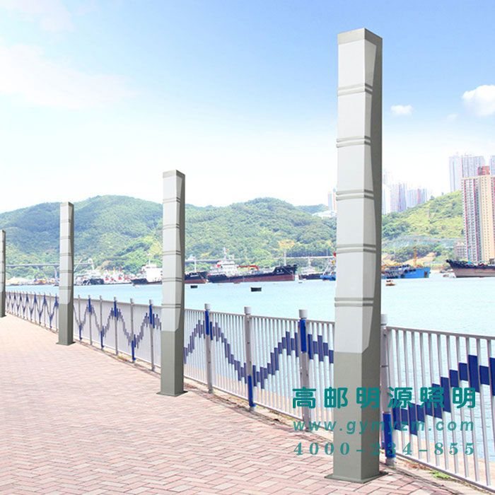 LED道路景观灯 H：4-6m